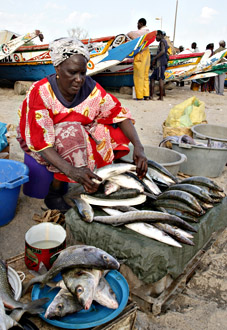 Verkoop van vis aan het strand - foto: Friedrich Stark