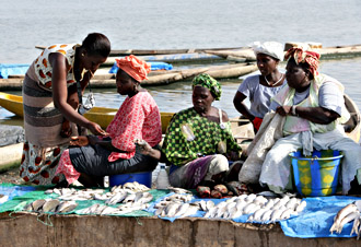 Verkoop van vis - foto: Friedrich Stark